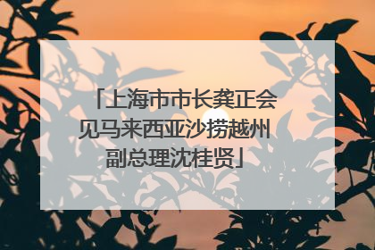 上海市市长龚正会见马来西亚沙捞越州副总理沈桂贤
