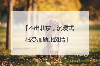 不出北京，沉浸式感受加勒比风情