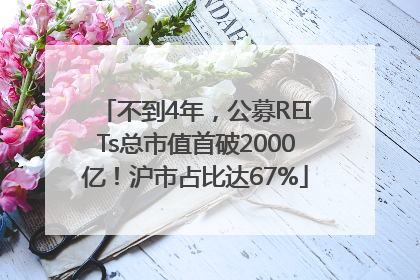 不到4年，公募REITs总市值首破2000亿！沪市占比达67%