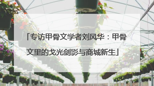 专访甲骨文学者刘风华：甲骨文里的戈光剑影与商城新生