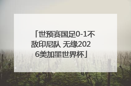 世预赛国足0-1不敌印尼队 无缘2026美加墨世界杯
