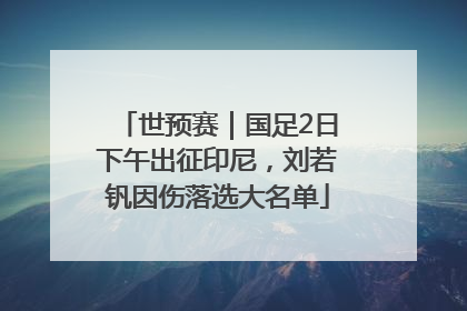 世预赛｜国足2日下午出征印尼，刘若钒因伤落选大名单