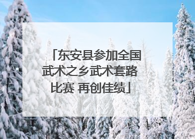 东安县参加全国武术之乡武术套路比赛 再创佳绩
