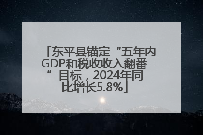 东平县锚定“五年内GDP和税收收入翻番”目标，2024年同比增长5.8%