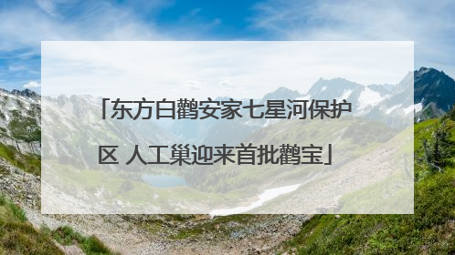 东方白鹳安家七星河保护区 人工巢迎来首批鹳宝