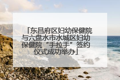 东昌府区妇幼保健院与六盘水市水城区妇幼保健院“手拉手”签约仪式成功举办