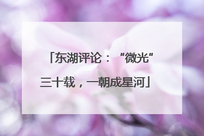 东湖评论：“微光”三十载，一朝成星河