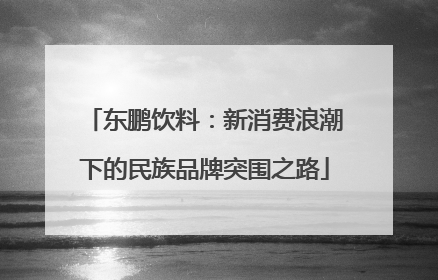 东鹏饮料：新消费浪潮下的民族品牌突围之路