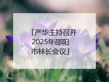 严华主持召开2025年邵阳市林长会议