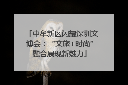 中牟新区闪耀深圳文博会：“文旅+时尚”融合展现新魅力