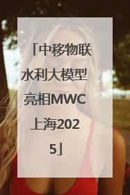 中移物联水利大模型亮相MWC上海2025