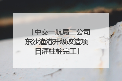 中交一航局二公司东沙渔港升级改造项目灌柱桩完工