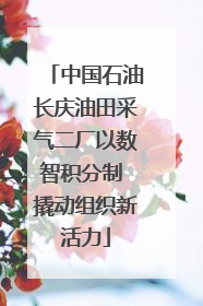 中国石油长庆油田采气二厂以数智积分制 撬动组织新活力
