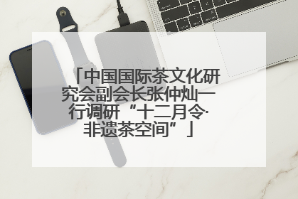 中国国际茶文化研究会副会长张仲灿一行调研“十二月令·非遗茶空间”