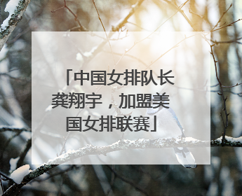中国女排队长龚翔宇，加盟美国女排联赛