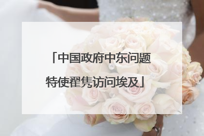 中国政府中东问题特使翟隽访问埃及