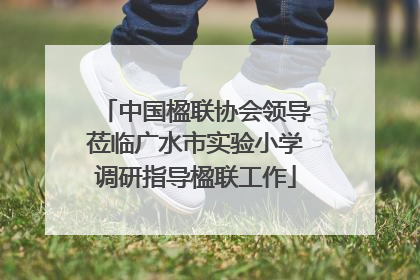 中国楹联协会领导莅临广水市实验小学调研指导楹联工作