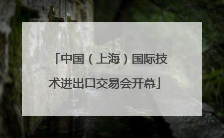 中国（上海）国际技术进出口交易会开幕