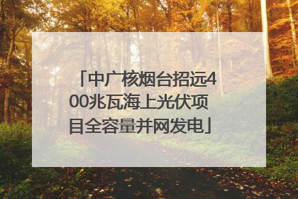 中广核烟台招远400兆瓦海上光伏项目全容量并网发电