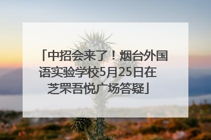 中招会来了！烟台外国语实验学校5月25日在芝罘吾悦广场答疑