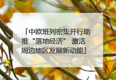 中欧班列密集开行助推“落地经济” 激活周边地区发展新动能
