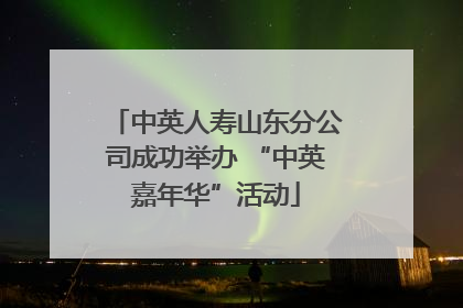 中英人寿山东分公司成功举办 “中英嘉年华”活动