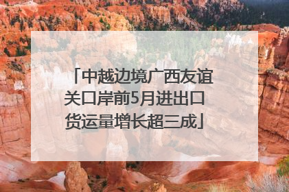 中越边境广西友谊关口岸前5月进出口货运量增长超三成