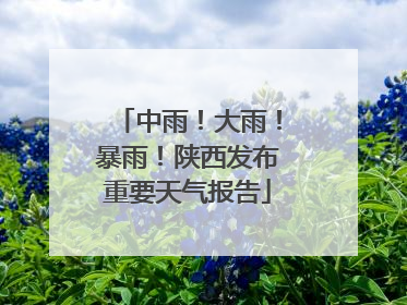 中雨！大雨！暴雨！陕西发布重要天气报告