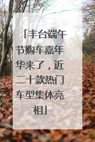 丰台端午节购车嘉年华来了，近二十款热门车型集体亮相