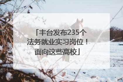 丰台发布235个法务就业实习岗位！面向这些高校