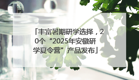 丰富暑期研学选择，20个“2025年安徽研学夏令营”产品发布