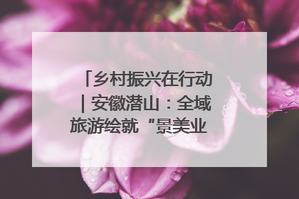 乡村振兴在行动｜安徽潜山：全域旅游绘就“景美业兴民富”新画卷