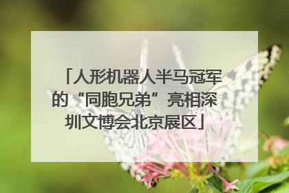 人形机器人半马冠军的“同胞兄弟”亮相深圳文博会北京展区