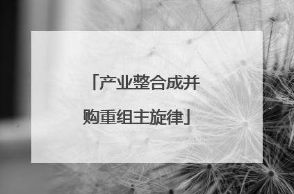 产业整合成并购重组主旋律