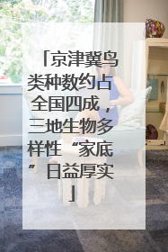 京津冀鸟类种数约占全国四成，三地生物多样性“家底”日益厚实