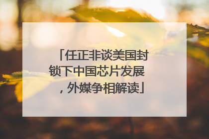 任正非谈美国封锁下中国芯片发展，外媒争相解读