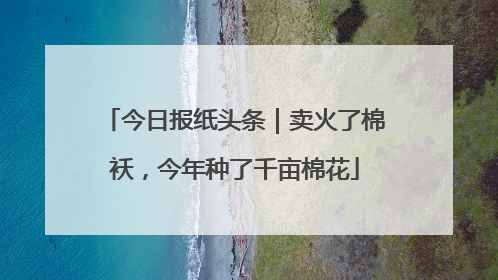 今日报纸头条｜卖火了棉袄，今年种了千亩棉花