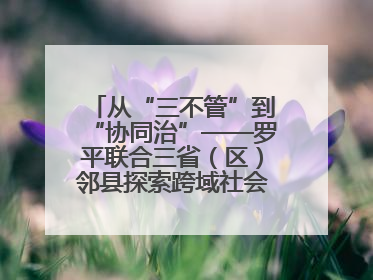 从“三不管”到“协同治”——罗平联合三省（区）邻县探索跨域社会治理新模式