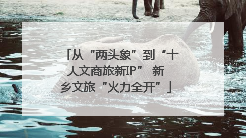 从“两头象”到“十大文商旅新IP” 新乡文旅“火力全开”