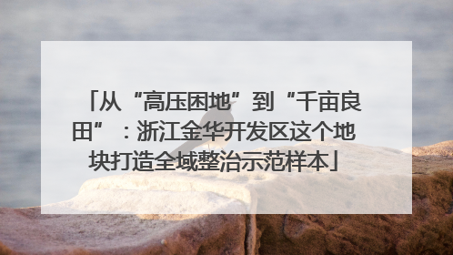 从“高压困地”到“千亩良田”：浙江金华开发区这个地块打造全域整治示范样本