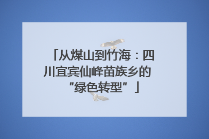 从煤山到竹海：四川宜宾仙峰苗族乡的“绿色转型”
