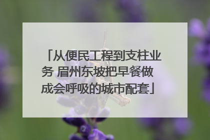 从便民工程到支柱业务 眉州东坡把早餐做成会呼吸的城市配套