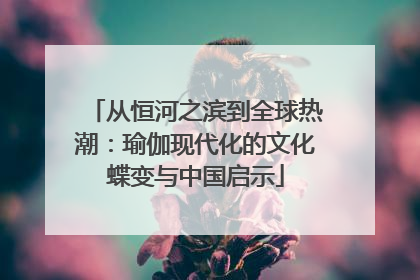 从恒河之滨到全球热潮：瑜伽现代化的文化蝶变与中国启示