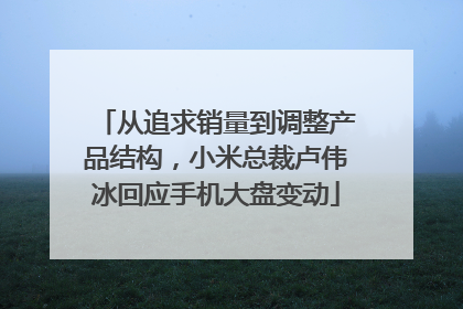 从追求销量到调整产品结构，小米总裁卢伟冰回应手机大盘变动