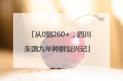 从0到260+，四川朱鹮九年种群复兴记