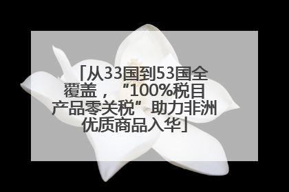 从33国到53国全覆盖，“100%税目产品零关税”助力非洲优质商品入华