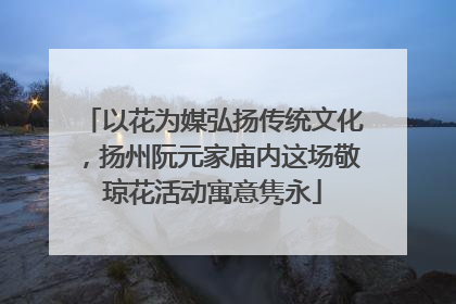 以花为媒弘扬传统文化，扬州阮元家庙内这场敬琼花活动寓意隽永