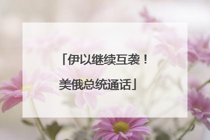 伊以继续互袭！美俄总统通话