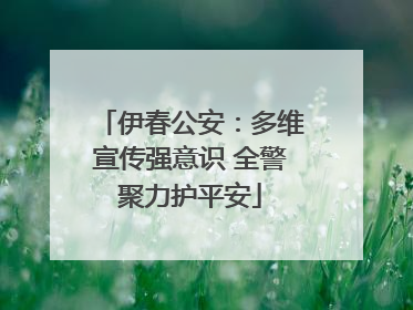 伊春公安：多维宣传强意识 全警聚力护平安