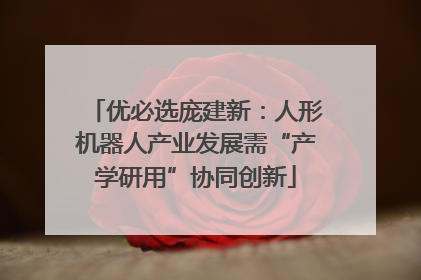 优必选庞建新：人形机器人产业发展需“产学研用”协同创新